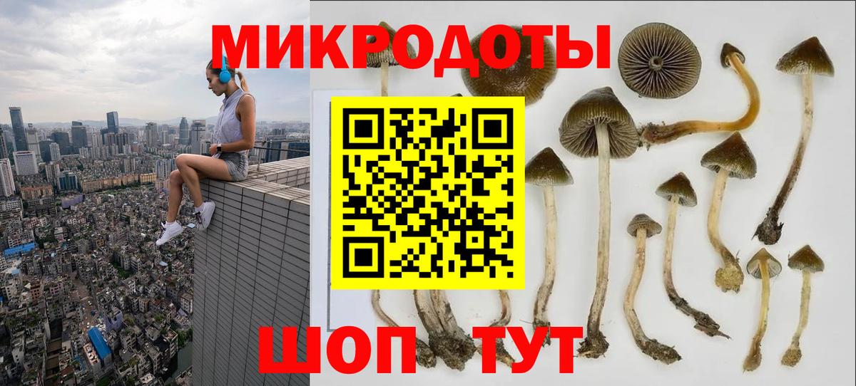 Галлюциногенные грибы мухоморы Ишимбай